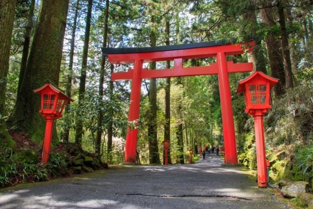 Path to Hakone Shrine